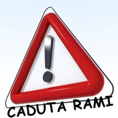 caduta rami